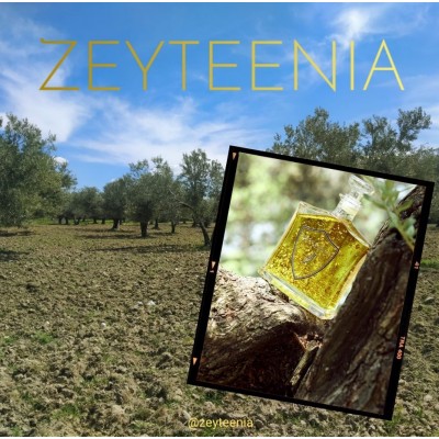 Zeyteenia'nın Bilimsel Sırrı: Zeytin Ağaçlarının Sessiz Sohbetleri, Kaliteli Zeytinyağı Üretimi