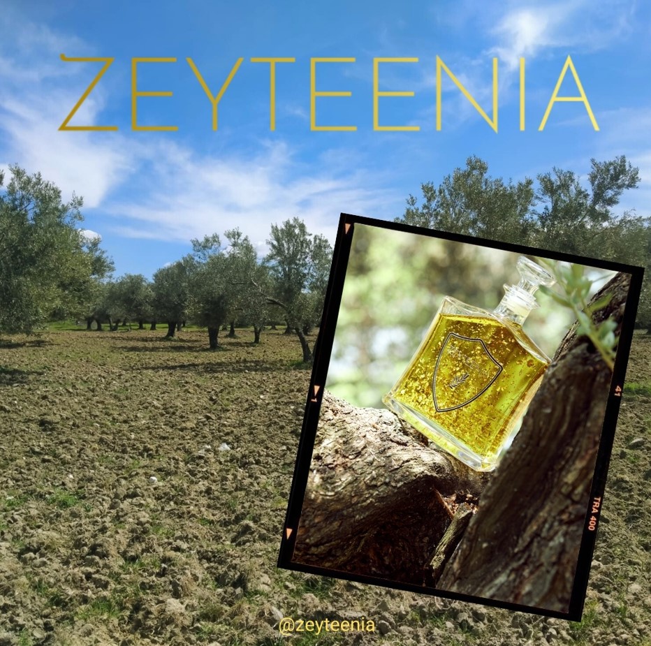 Zeyteenia'nın Bilimsel Sırrı: Zeytin Ağaçlarının Sessiz Sohbetleri, Kaliteli Zeytinyağı Üretimi